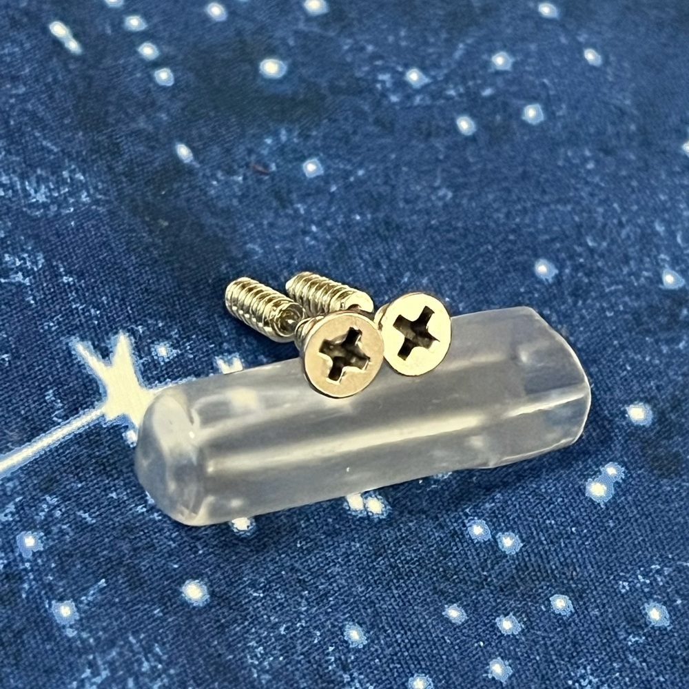 💜 NWOT Screw Earrings